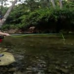 Des enfants qui pêchent à la mouche