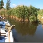 Surprise à la pêche