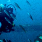 Une cathédrale sous la mer